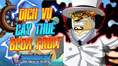 DỊCH VỤ CÀY THUÊ